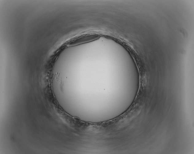 X0000112941496200909071043