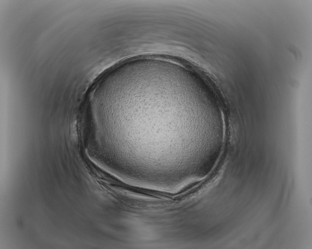 X0000112941497200909071043