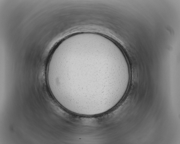 X0000112941498200909071043