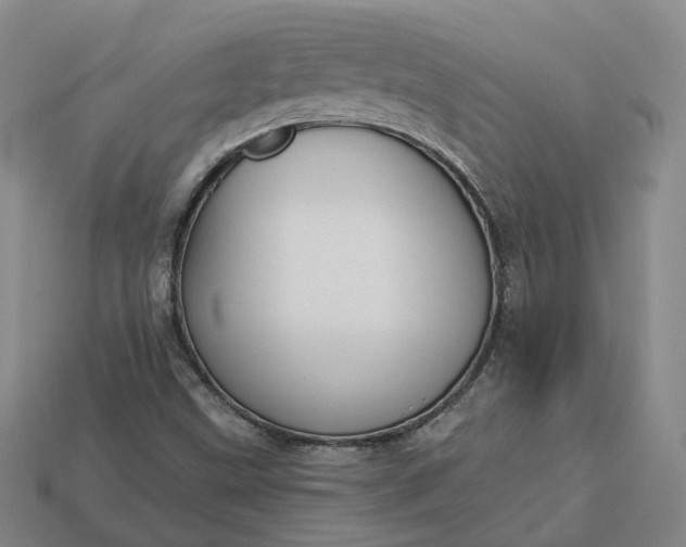 X0000112941499200909071043