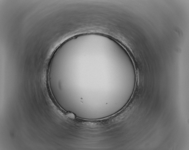 X0000112941500200909071043