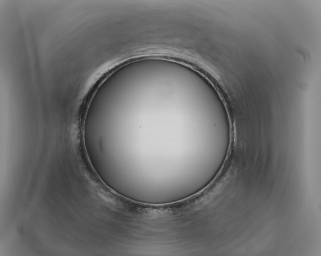 X0000112941501200909071043