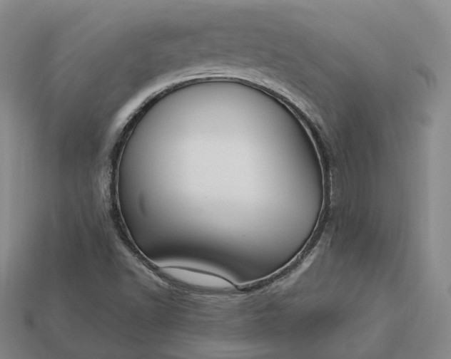 X0000112941502200909071043