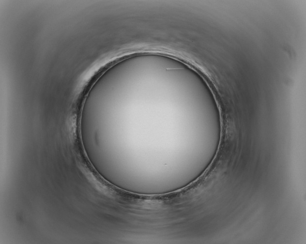 X0000112941503200909071043