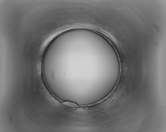 X0000112941504200909071043