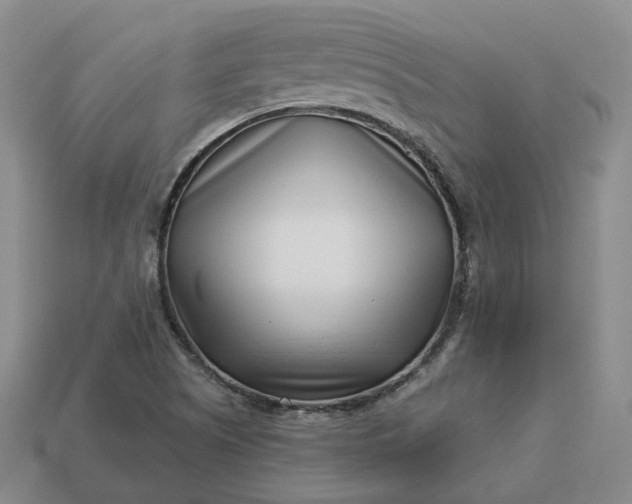 X0000112941505200909071043