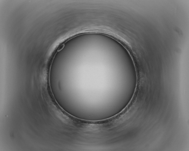 X0000112941506200909071043