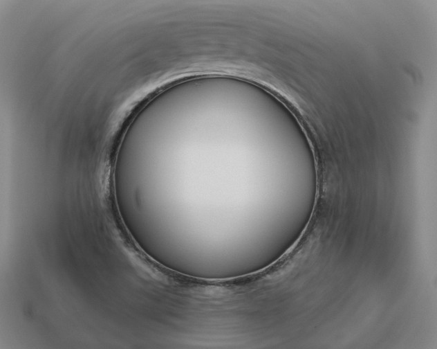 X0000112941507200909071043