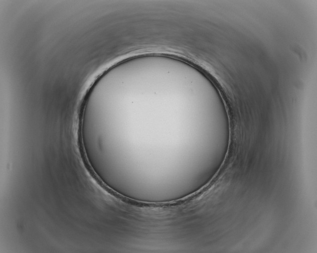 X0000112941508200909071043