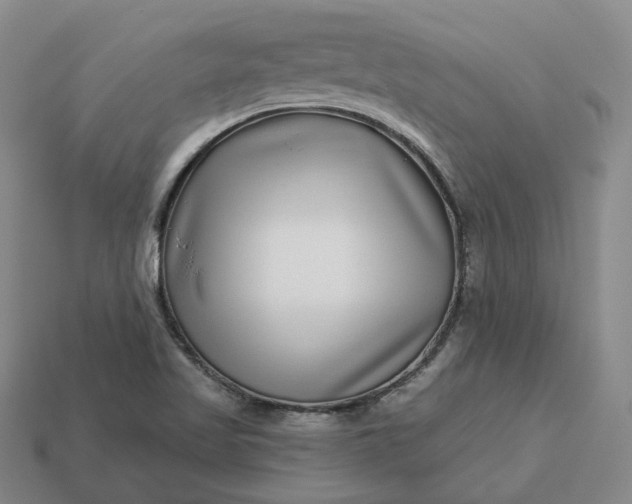 X0000112941509200909071043