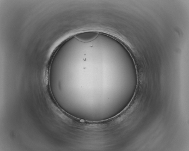 X0000112941510200909071043