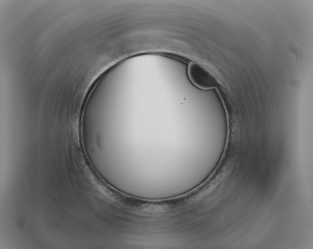 X0000112941513200909071044