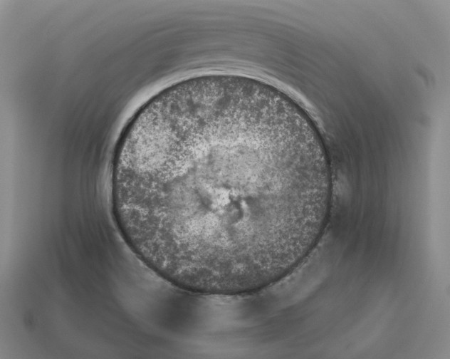 X0000112941514200909071044