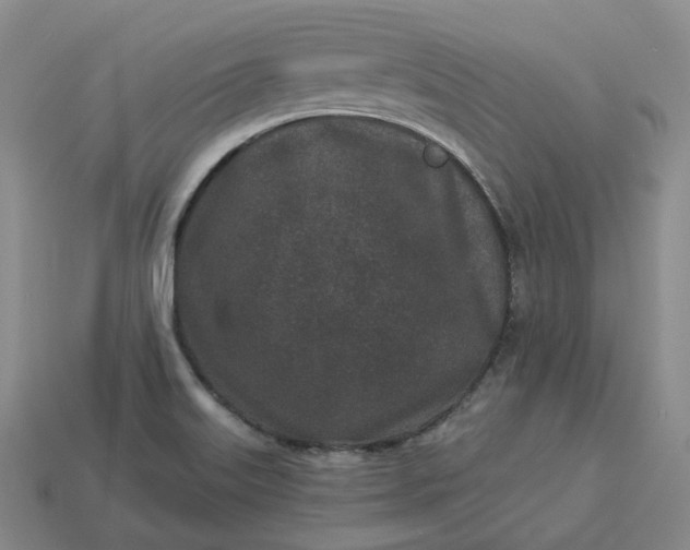 X0000112941515200909071044