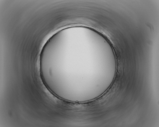 X0000112941516200909071044