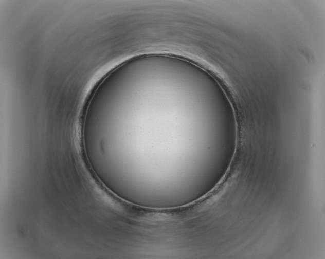 X0000112941517200909071044