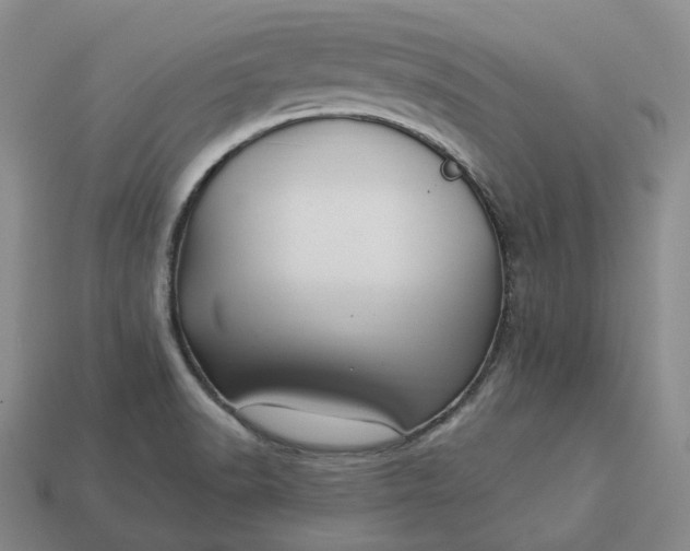 X0000112941518200909071044