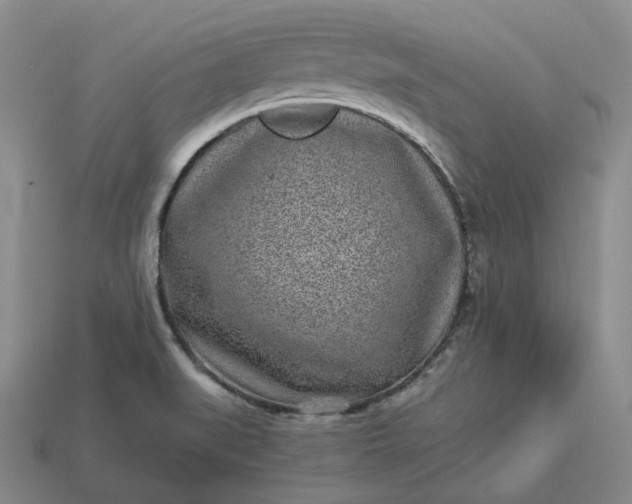 X0000112941519200909071044