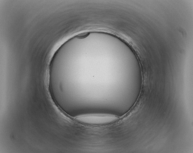 X0000112941520200909071044