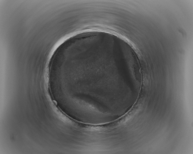 X0000112941522200909071044