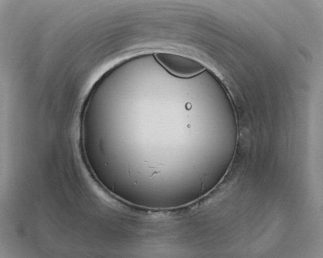 X0000112941523200909071044