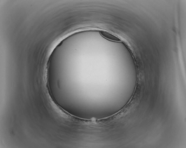 X0000112941524200909071044