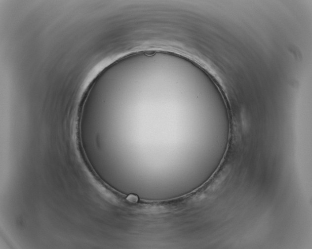 X0000112941525200909071044