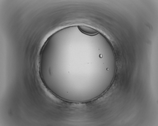 X0000112941526200909071044