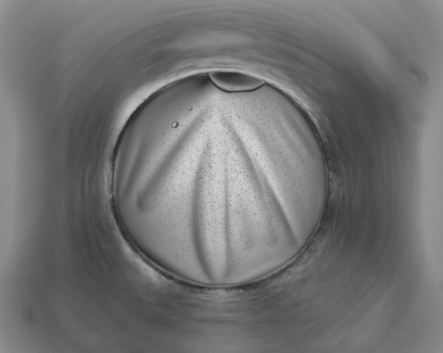 X0000112941527200909071044