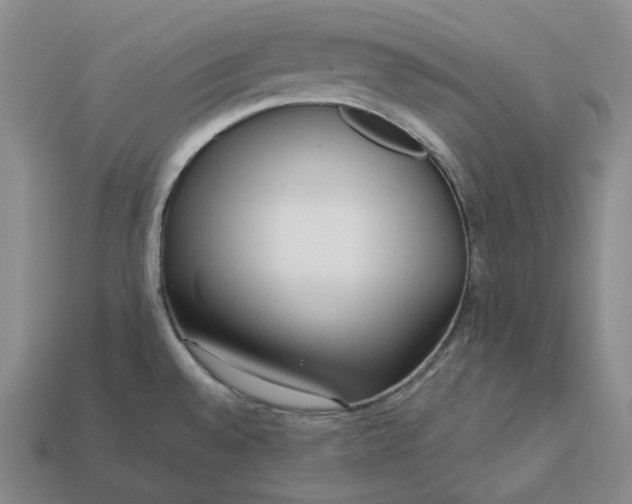 X0000112941528200909071044