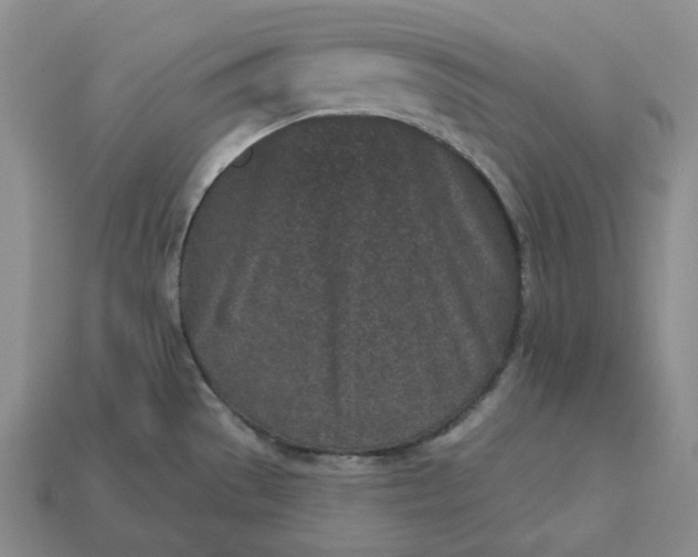 X0000112941529200909071044