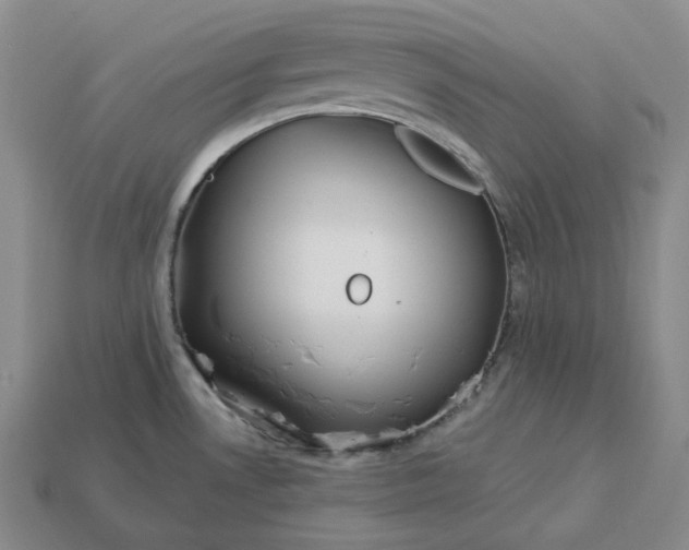 X0000112941530200909071044