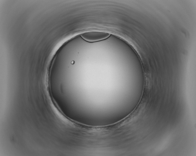 X0000112941531200909071044