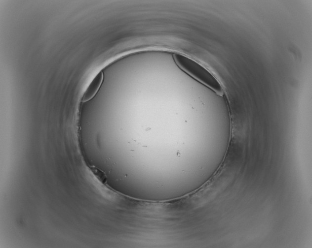 X0000112941532200909071044