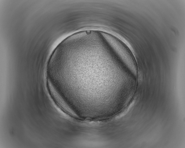 X0000112941533200909071044