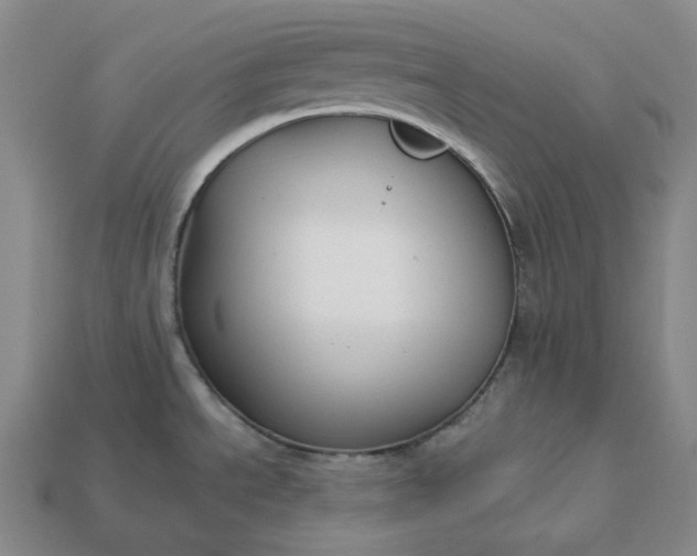 X0000112941534200909071044