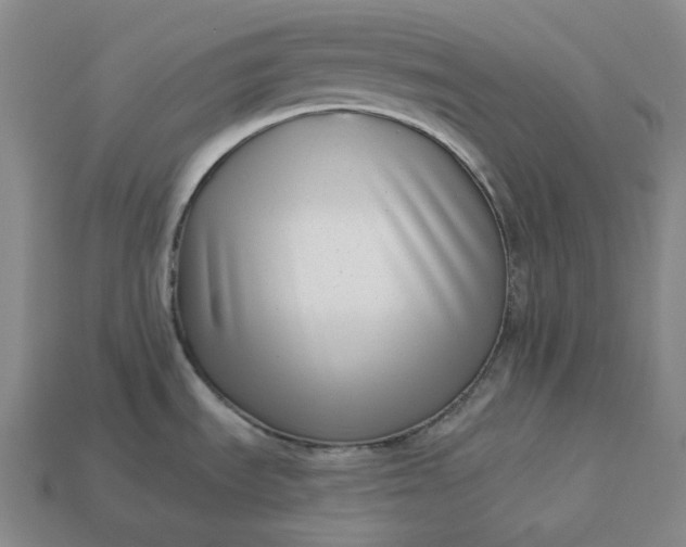 X0000112941535200909071044