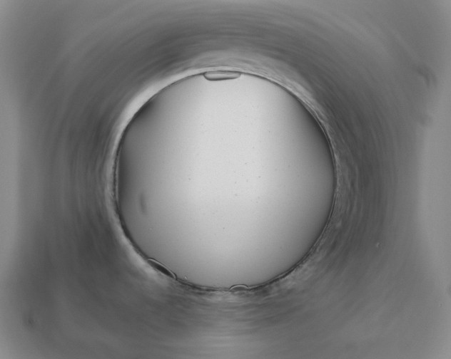 X0000112941536200909071044