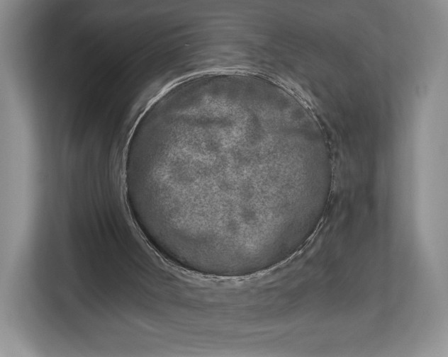 X0000112940002200909141356