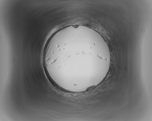X0000112940003200909141356