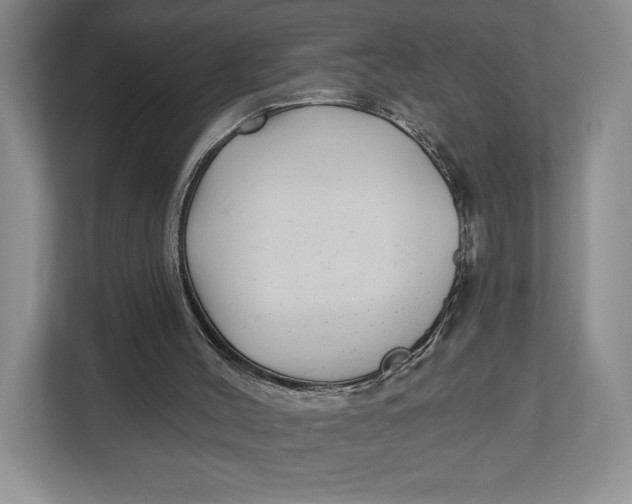 X0000112940004200909141356