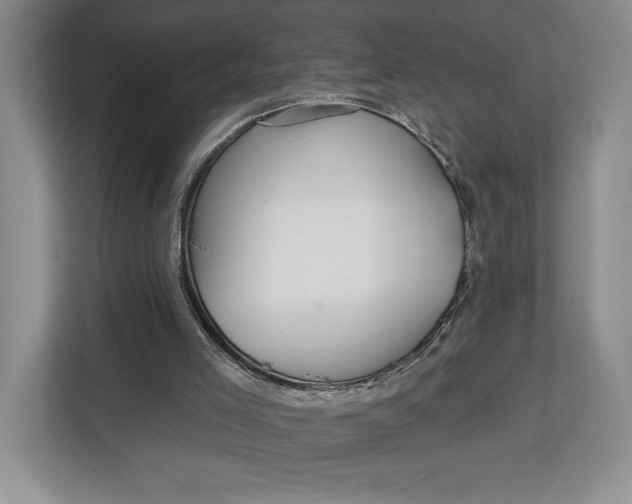 X0000112940005200909141356