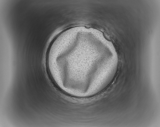 X0000112940006200909141356
