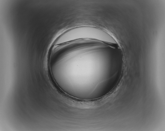 X0000112940008200909141356