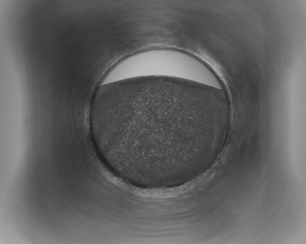 X0000112940009200909141356