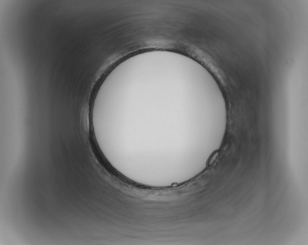 X0000112940011200909141356