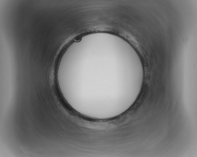X0000112940012200909141356