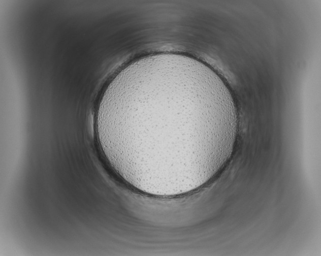 X0000112940014200909141356