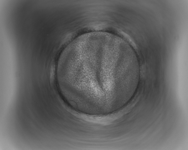 X0000112940018200909141356