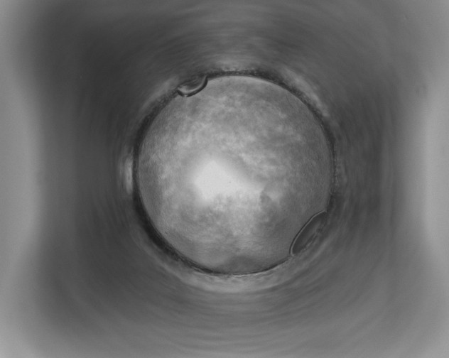 X0000112940019200909141356